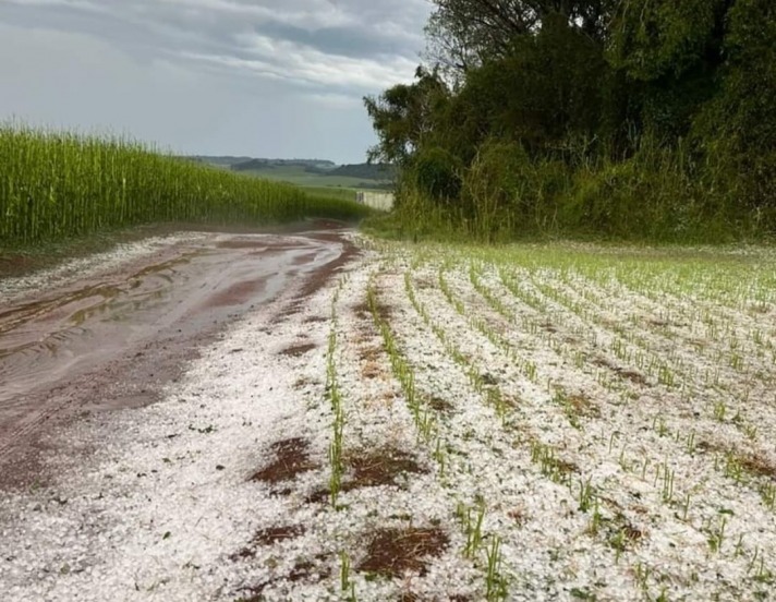 Granizo destrói lavouras em Renascença Rádio Vicente Pallotti FM 88