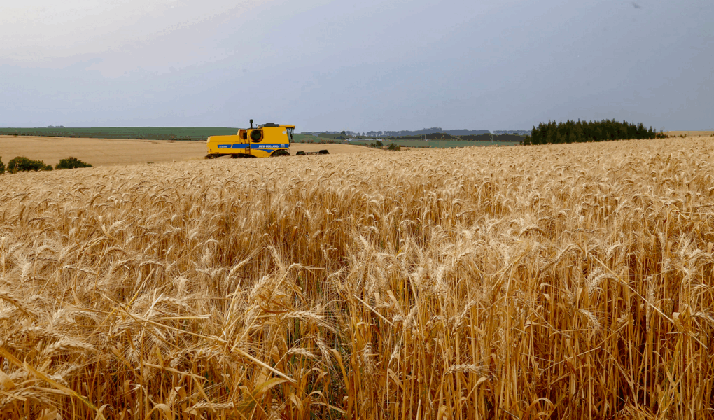 Foto: Gilson Abreu/AEN