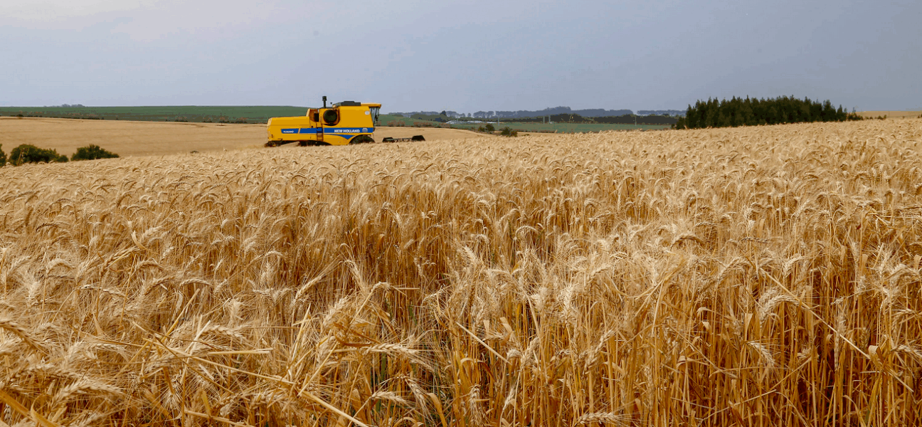 Foto: Gilson Abreu/AEN