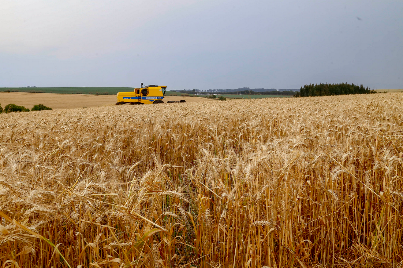 Foto: Gilson Abreu/AEN